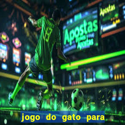 jogo do gato para ganhar dinheiro